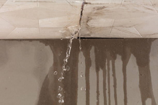Professional Water Damage Repair technician working in Cedar Knolls, NJ